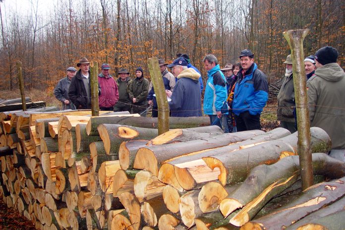 20070210~L0090004^Holzstrich Lardenbach